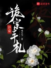 汴京诡案手札笔趣阁